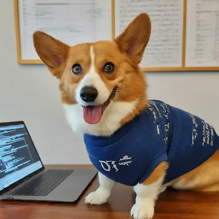Corgi programming